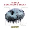 Kent PHOG Hedgehog Pebble Scalp Massager Shampoo Brush, Shower Brush, and Travel Size Detangling Brush - Scalp Scrubber for Dandruff and Kids Hair Brush Hair Detangler - Hairbrush for Tangles