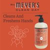 MRS. MEYER'S CLEAN DAY Liquid Hand Soap, Radish Scent (12.5 Fl Oz (Pack of 2))