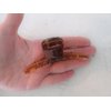 Generic Amber brown or black hair claw clip for fine, thin hair (Primary color: Black), 1 Count (Pack of 1)