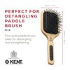 Kent PF18 Medium Cushion Paddle Brush - Detangling for Fine, Long, Thick and Curly Hair, Scalp Massager and Growth Stimulator, Wet or Dry Use. Made in England