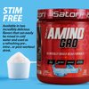 iSatori Amino-GRO BCAA Powder, Branched Chain Amino Acids with Glutamine, Electrolyte Powder & Bio-GRO Bio-Active Peptides for Muscle Growth & Post Workout Recovery, Blue Razz Snow Cone (30 Servings)