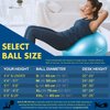 ProBody Pilates Yoga Exercise Ball, Multiple Sizes Stability Chair, Gym Grade Birthing Ball for Pregnancy, Fitness, Balance, Workout at Home, Office and Physical Therapy (Blue, 45 cm)