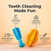 Oxyfresh Dog Dental Toy - Best Durable Rubber Dog Chew Toy for Aggressive Chewers - Removes Plaque, Cleans Teeth & Freshens Breath Without Brushing (Small)
