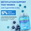 L Methylfolate Gummies & Methyl B12, Active 5-Mthf Methylated Folate 5mg Supplement for Women Men w/Methyl B Complex,Choline,Magesium,Omega-3,Methyl Folate for Methylation,Focus,Mood,Sugar Free,2Pack
