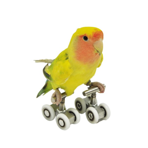 MANON ROSA Bird Toy Intelligent Puzzle Training-Roller Skates for Small Medium Pet-Perfect for African Grey Cockatoo Eclectus Conures Eclectus Parrot Macaw Cockatiel
