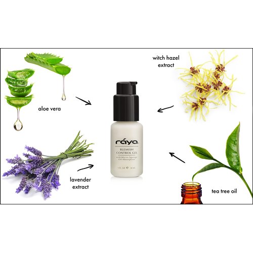 RAYA Blemish Control Gel (703) | Oil Controlling Facial Treatment Serum for Oily and Break-Out Prone Skin | Helps Reduce and Clear Up Blemishes