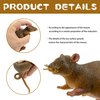 FUNSCENE Reptile Toy with Mouse, Soft Rubber Squishy Toy, TPR Super Stretch Animal Toys for Kids, Perfect for Gifts, Party Favors, and School Projects (Mouse)