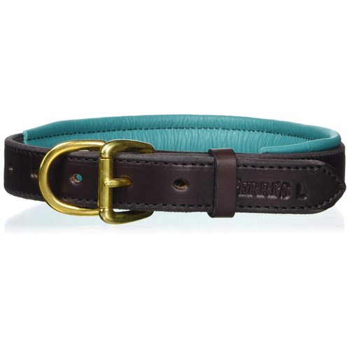 Perri's Padded Leather Dog Collar, Havana/Turquoise, Small