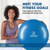 ProBody Pilates Yoga Exercise Ball, Multiple Sizes Stability Chair, Gym Grade Birthing Ball for Pregnancy, Fitness, Balance, Workout at Home, Office and Physical Therapy (Blue, 45 cm)