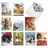 The Best Card Company - 10 Blank Dog Greeting Cards for All Occasions (4 x 5.12 Inch) - Puppy Love M6546OCB