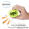 insum Squeaky Tennis Balls for Dogs Colorful Easy Catching Pet Dog Balls 4 Pack (Squeak-2.5inch-Yellow)