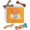 Nylabone Holiday Puppy Gift Box for Small Dogs, Includes 3 Strong Chew Toys and 1 Dog Treat, Gifts for Puppies, Small/Regular (4 Count)