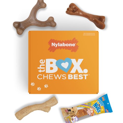 Nylabone Holiday Puppy Gift Box for Small Dogs, Includes 3 Strong Chew Toys and 1 Dog Treat, Gifts for Puppies, Small/Regular (4 Count)