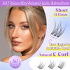 ALICE Natural Lash Clusters Kit Clear Band Wispy Lash Extension Kit Cluster Eyelash Extension Kit 162pcs C Curl 11-13mm Individual Lashes with Lash Glue Bond and Seal and Tweezers DIY at Home
