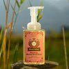 Moon Valley Herbal Foaming Hand Soap, Vegan (Cranberry Citrus, Recyclable Bottle)