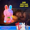 Paint Your Own Bunny Lamp Kit, Art Supplies Arts & Crafts Kit, Painting kit for Kids 6-12, Arts and Crafts for Kids Ages 8-12, Toys Girls Boy Birthday Christmas Gift Ages 3 4 5 6 7 8 9 10 11 12+