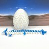 3D Printed Dragon, Articulated Axolotl Dragon with Dragon Egg, Fidget ADHD Autism Toy, Executive Desk Toy Home Office Decor D041WB