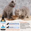 Lysine for Cats Immune Support, L-Lysine Supplement for Cat, Lysines for Feline Respiratory Health - Reduces Sneezing, Sneezing, Runny Nose, Eye Function, Natural Cat Drops for Kittens & Adult Cats