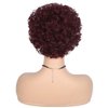 Quantum Love Short Curly Human Hair Wigs for Black Women 6 Inches Afro Kinky Curly Brazilian Virgin Human Hair Short Pixie Cut Wigs 99J