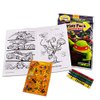 Set Of 15 Teenage Mutant Ninja Turtles Play Packs Fun Party Favors Coloring Book Crayons Stickers