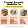 Cat Multivitamin Chews – Complete Daily Supplement with Omega-3, Lysine, Probiotics & Taurine for Immune, Joint, Skin & Digestive Health