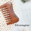 Small Pocket Sized Wooden Comb Hair Detangler for Women Men Kids, Anti Static Handmade Natural Sandlewood Hair Comb Wide Teeth Comb for Curly Hair 2 PCS