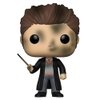 Funko Pop Movies: Harry Potter - Accident Seamus Finnigan Collectible Figure, Multicolor