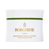 Borghese Advanced Fango Active Purifying Mud Mask For Face and Body, Ideal for Oily Dry and Combination Skin, 2.7 Oz