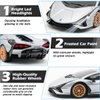 QUN XING Remote Control Car 1:24 Officially Licensed 2.4GHZ Rc Cars Lambo Sport Racing Toy Car for Kids Boys 4-7 Years Birthday Gift,Silver