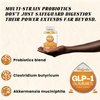 VitalSmiles GLP 1 Gummies, Natural GLP-1 Support, GLP-1 Supplement for Women & Men, Zero-Sugar + Akkermansia Probiotic & Berberine – Supports Gut Health, Immunity & Energy (90 Gummies)