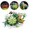 Building Blocks for Adults- Succulent Building Toys, Bonsai Botanical Collection Toy Building Sets, Plants and Flowers DIY Home Decoration, Gifts for Women Kids (Not Compatible with Lego)