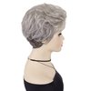 GNIMEGIL Synthetic Hair Curly Wigs Natural for Women Ombre Gray Hairstyle Old Lady Wig with Bangs Fluffy Curls Wavy Granny Silver White Wig Cosplay Halloween Costume