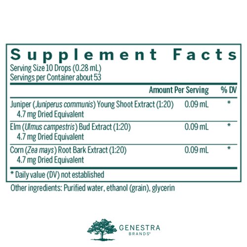 Genestra Brands Renal-gen | Juniper, Elm, and Corn Herbal Supplement | 0.5 fl. oz.