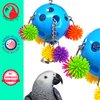 Bonka Bird Toys 2304 Spikey Rainbow Pull 8" by 5", Medium Parrot, Pull Tug Puzzle Cage Toy, Conures, Pionus, Quakers, and Similar Birds