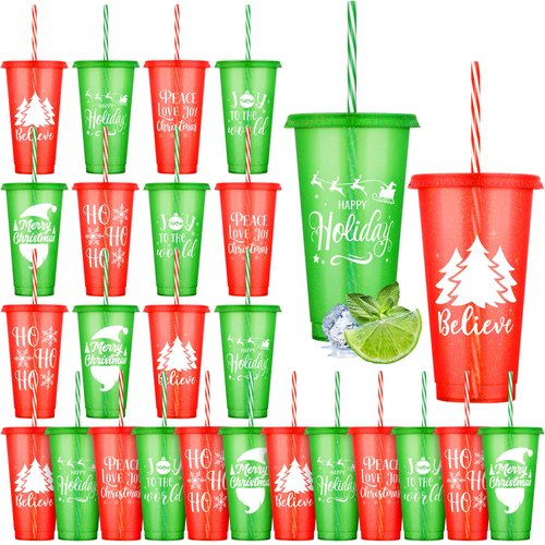 Kochorie 24 Pieces Christmas Plastic Cups with Lids and Straws 24 Ounces Reusable Christmas Party Cups 6 Patterns Thick Plastic Tumbler Bulk Christmas Supplies Tableware