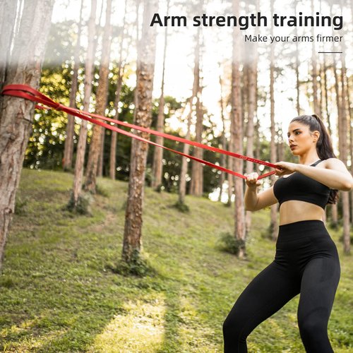 Pull Up Resistance Bands Set of 4 Pull Up Bands for Men and Women, Assistance Band for Exercise for Resistance Training Powerlifting, Home Fitness, Gyms, Mobility Home Fitness, with Carrying Bag(4pcs)