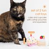 Pearhead Birthday Cake Cat Toy Set, Stuffed Birthday Cake and Cupcake Cat Toys with Catnip and Squeakers, Interactive Fun Kitten Toys, Perfect Pet Owner Birthday Gift, Ideal for Cat Lovers, Set of 2