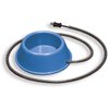 API Heated Dog Bowl Plastic Heated Pet Bowl, 1 Quart (Item No. 1B)