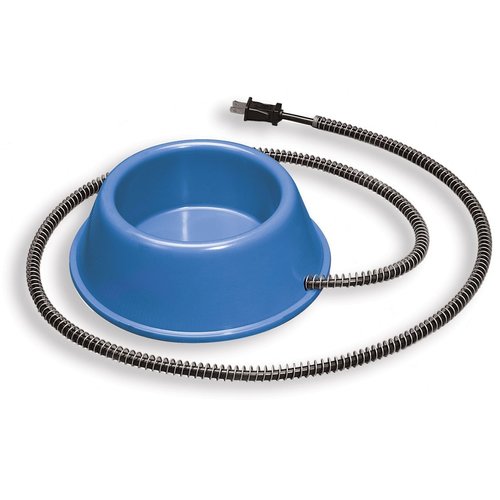 API Heated Dog Bowl Plastic Heated Pet Bowl, 1 Quart (Item No. 1B)