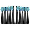 Replacement Toothbrush Heads for Fairywill, Electric Brush Heads Replacement for FW-507/508/515/551/917/959/D1/D3/D7/D8/2011, 10 Pack, Black…