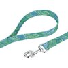 Country Brook Petz - Premium Dog Collar and Leash Set - Five Paisley Collection (Green Paisley, 1 Inch, Medium)
