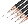 Nail Art Brushes, 5Pcs Nail Art Liner Brushes, Painting Art Design Brush Set Nail Dotting Drawing Tool for Long Lines, Thin Details, Fine Drawing Sizes 4/8/12/20/25mm, Black
