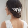 Catery Flower Crystal Bride Wedding Hair Comb Hair Accessories with Pearl Bridal Side Combs Headpiece for Women Pack of 1(Silver)