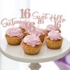 48Pcs 16th Birthday Cupcake Toppers Glitter Sweet 16 Hello 16 Cake Topper Sixteen Years Old Cupcake Picks for Boy Girl Happy 16th Birthday Party Cake Decorations Supplies Rose Gold