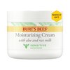 Burt's Bees Stocking Stuffers, Sensitive Moisturizing Cream, With Aloe Vera and Rice Milk, Face Moisturizer for Sensitive Skin, 98.8 Percent Natural Origin Skin Care Christmas Gifts, 3 oz. Package