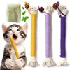Fokauiwo Kitten Toys, Cat Chew Toy for Teeth Cleaning, Catnip Rope Toys for Indoor Kittens, Interactive Cat Nip Teething Toys for Cats, Kitty Kicker Toy, 3 Pack (Plus 1 Pouch of Catnip)