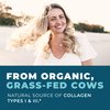 Grass-Fed Bone Broth Capsules with Collagen from Organic Bone Broth Powder. 180 Caps. Collagen Supplement from Organic Bone Broth Powder. Supports Nails, Hair, Joints and Digestive Health*.