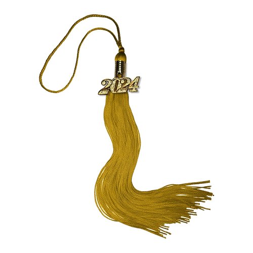 2024 Graduation Tassel with 2024 Gold Charm, Tassels Graduation, Graduation Gift, Tassel for Graduation Cap, Tassel Suitable for Graduation Hat, Golden