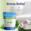 Stress Relief Bath Salt 32 Ounces Epsom Salt with Natural Spearmint and Eucalyptus Essential Oils Plus Vitamin C in BPA-Free Pouch with Easy Press-Lock Seal