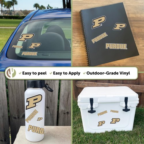 Desert Cactus Purdue University Stickers Vinyl Decals Laptop Water Bottle Car Scrapbook11.3x8.6 T1 (Type 1-1)